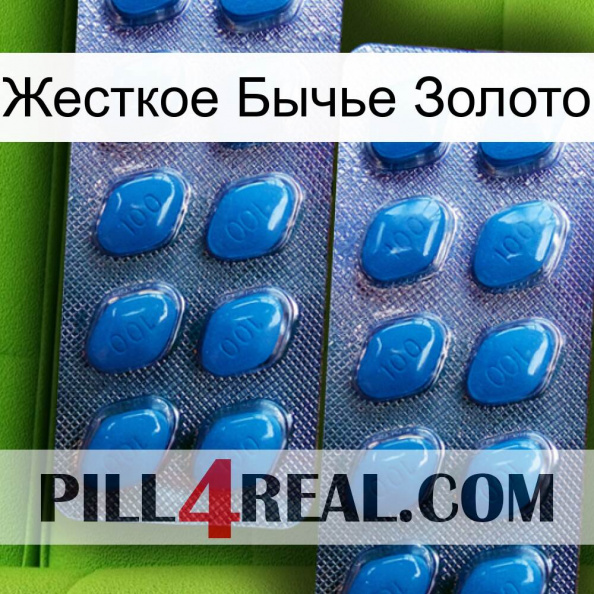 Жесткое Бычье Золото viagra2.jpg